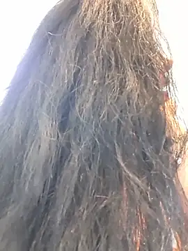 Chat XXX ao vivo de Luianna