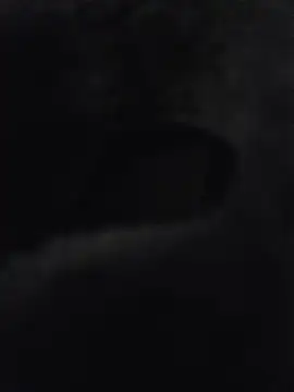 misterBigDick19 Webcam show