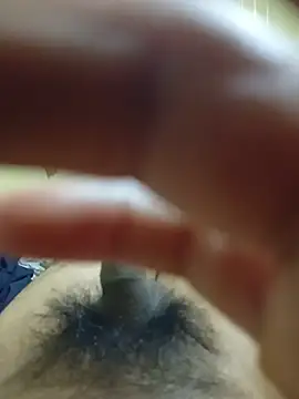 Jose25al's Live XXX Chat