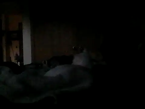 Silencio26 Webcam show