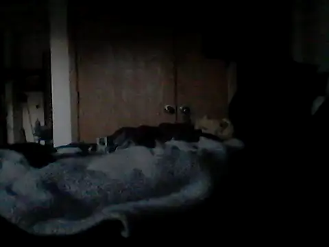 Silencio26 Show Webcam