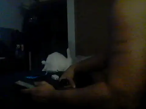 Silencio26 Webcamshow