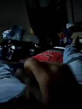Show Webcam de mill88049
