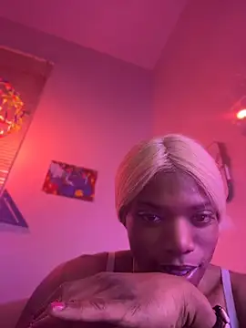 CookieAmonster Webcam show