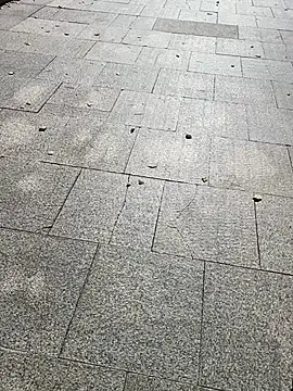 wangxiao-54 网络视讯表演
