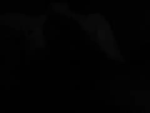tero133 Chat XXX live