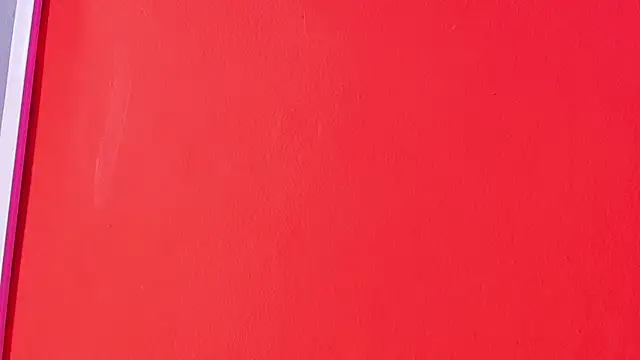 dominic_connor 라이브 XXX 채팅