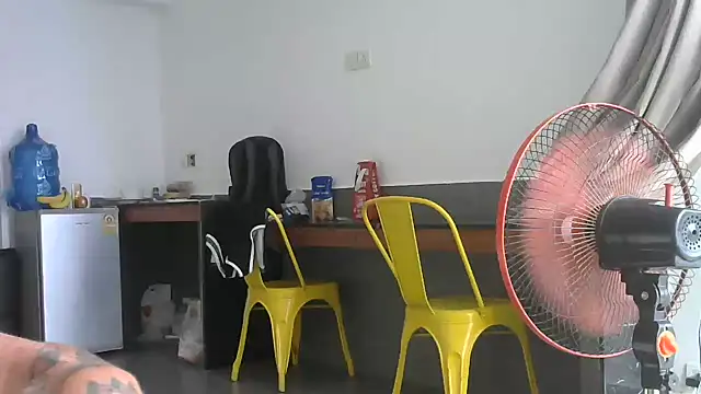 Show Webcam de HotHunkHarry