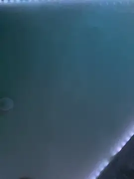 DaeDotFrankyLoko Webcam show