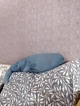 Živý XXX chat Nika_Malay
