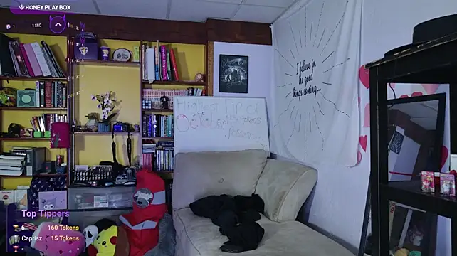 Show webcam de JackDesFeux