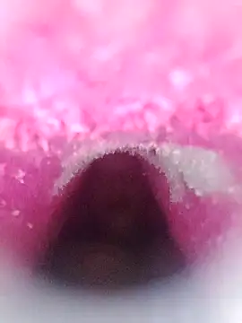 Maicolvergonn Show in webcam