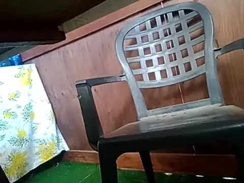 91019 Webcam show