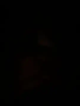 Show webcam de AevenLight7
