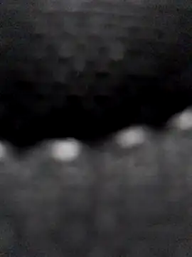 Chat +18 de landy20cm ao vivo