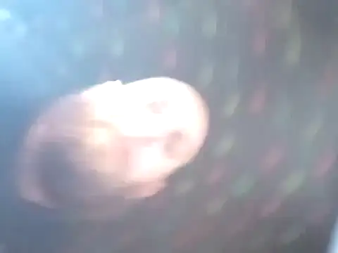 Živý XXX chat Bwcuncut92