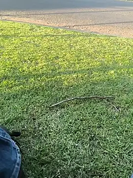 Show webcam de Homeless_hunter
