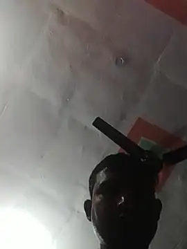 הופעת וובקאם של Hero7029