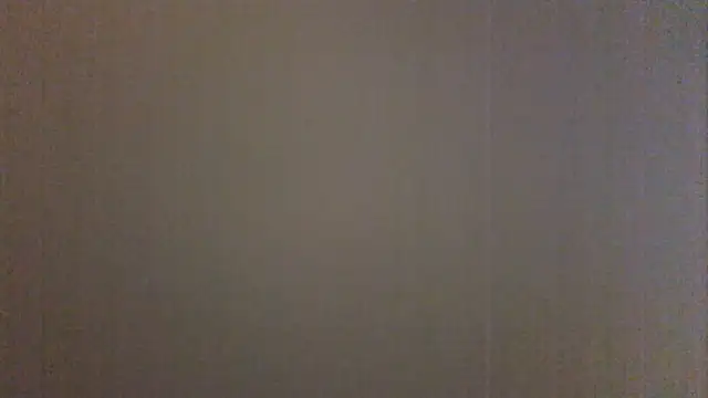 slaveboyrimmern Webbikameraesitys