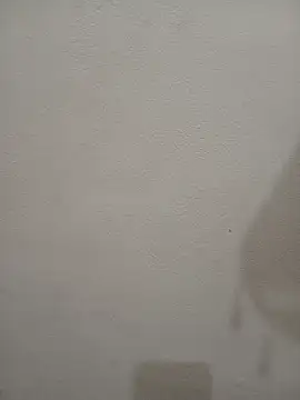 Tanha18 – Live XXX-chat