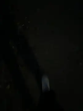 Chat XXX Live F0X89
