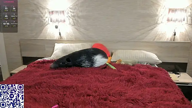 EliteEross 라이브 XXX 채팅