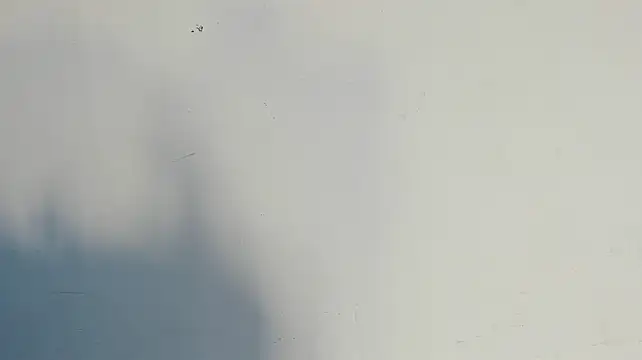 Eirlysx's Live XXX Chat