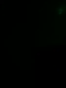 Traicocua Show Webcam