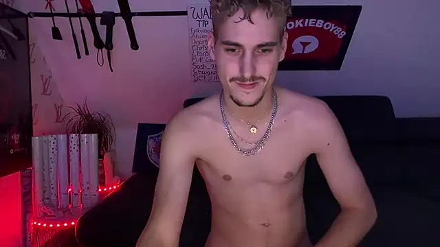 צ'אט XXX בשידור חי של Cookieboy88