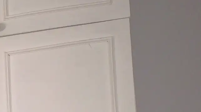 Chat +18 de AveryFondell ao vivo