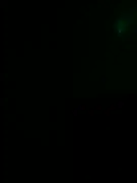 Traicocua Webcamshow