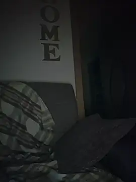 TirelessLot3 Webcam show