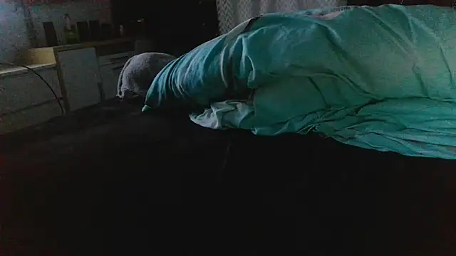 pimmelmann3 Live XXX-Chat