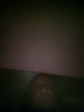 הופעת וובקאם של Davidsex66666