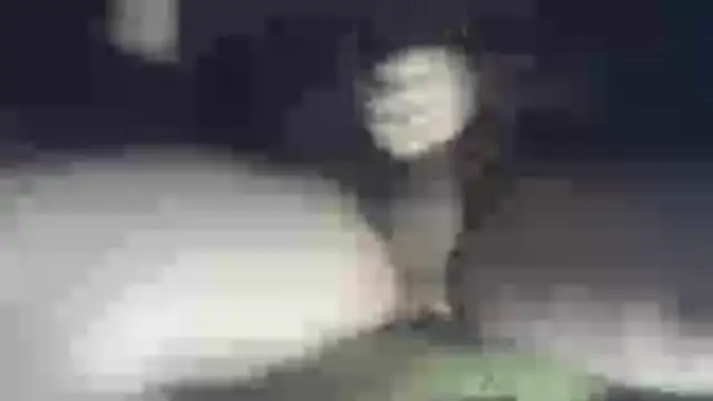 tenderhunter Webcamshow
