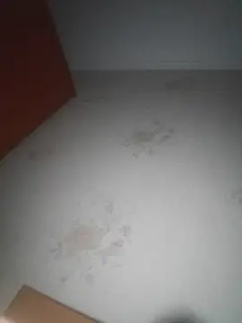 Show de webcam de Tatarin84@xh