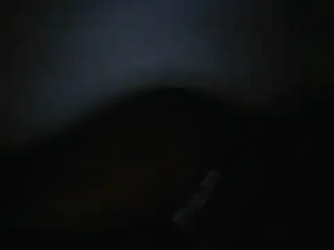 bigswt live XXX chat