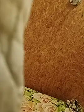 bigcock6688i – Kamerová šou