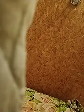 Webkamerová show bigcock6688i