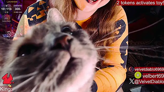 Živý XXX chat VelvetDiablo
