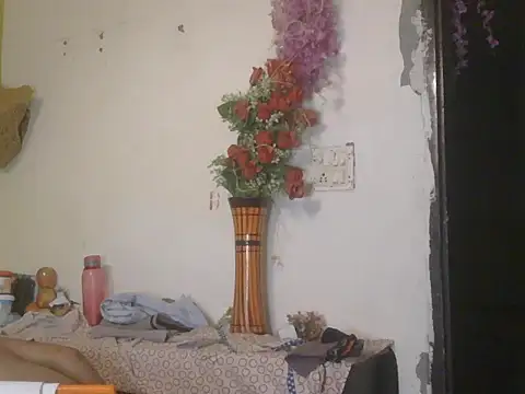 Stubborndesiboy ওয়েবক্যাম শো