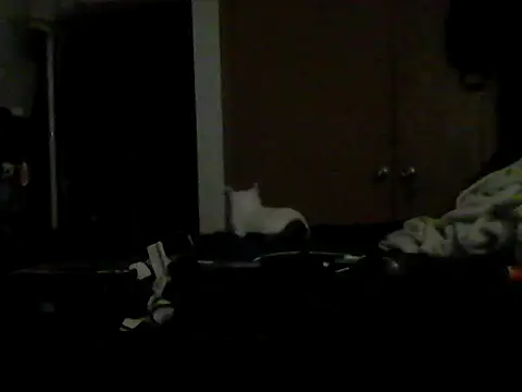 Chat XXX ao vivo de Silencio26