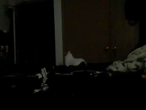 Silencio26 live XXX chat