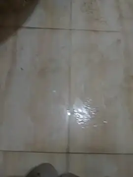 h9m9dan Webbikameraesitys