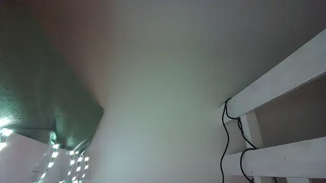 SlyLady 라이브 XXX 채팅