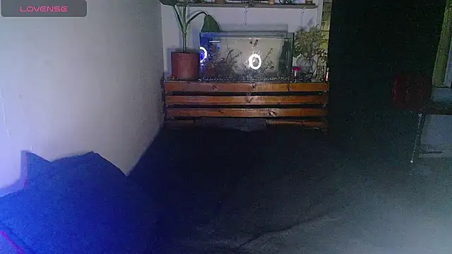 Karyblush25 live XXX chat