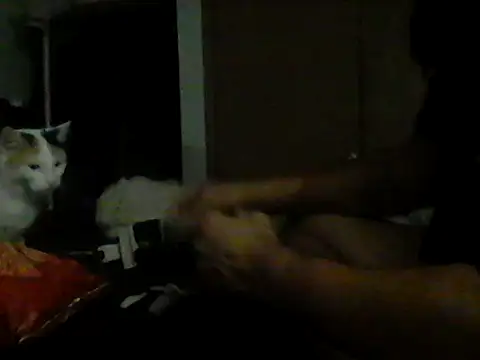 Chat XXX Live Silencio26