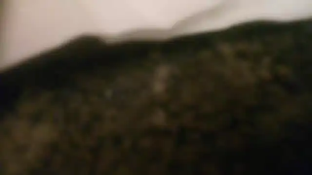 Shemalefucker79 Show in webcam