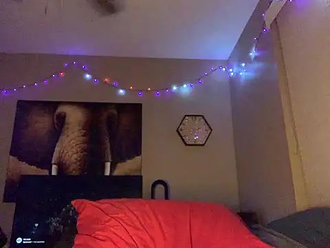 BWCJUICYJOSH 라이브 XXX 채팅