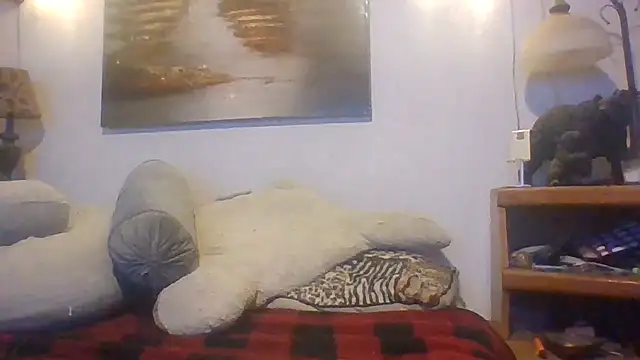 Show webcam de theboobietrap